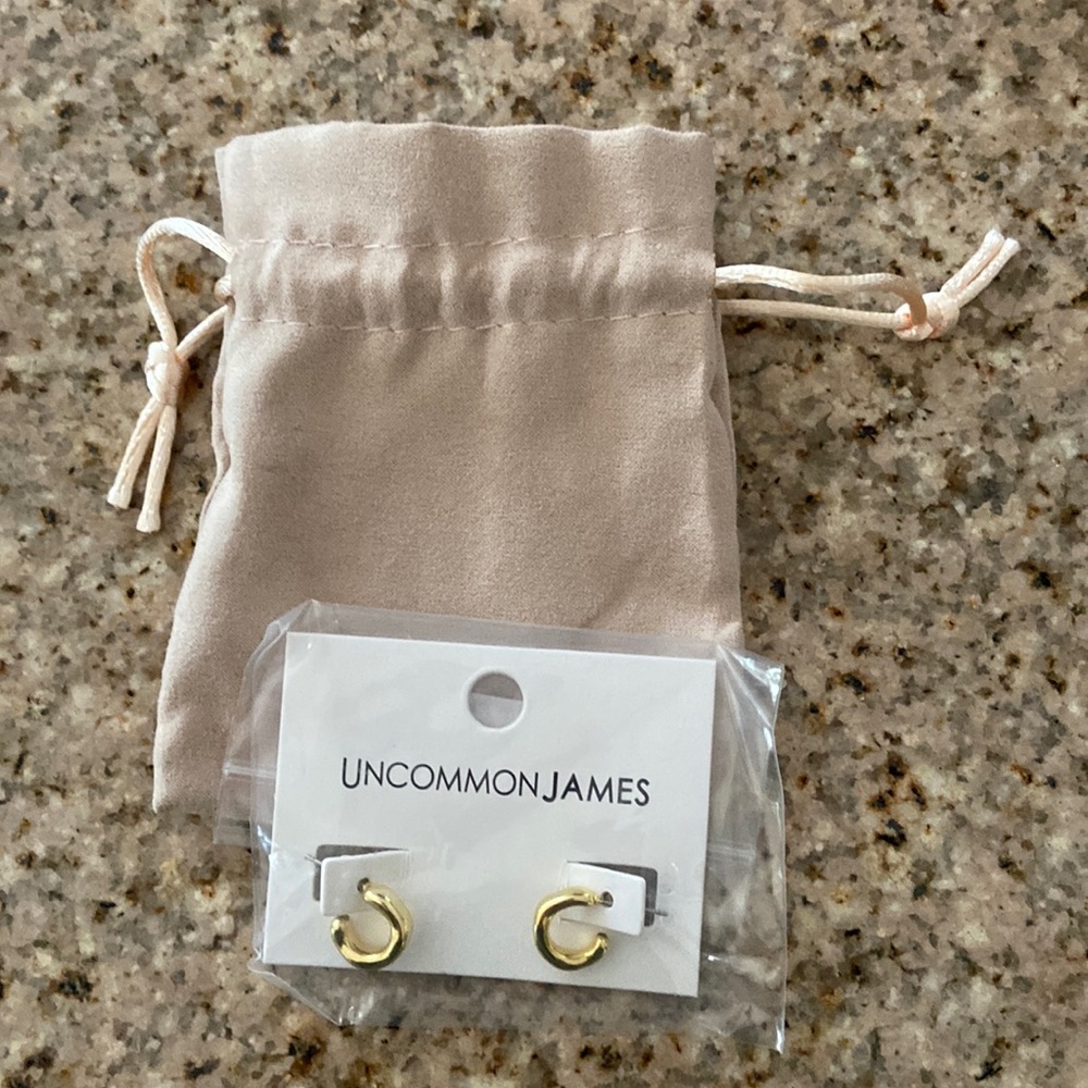 Uncommon James Earrings NEW